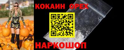 прущие крисы Кингисепп