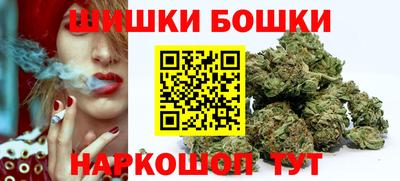 прущие крисы Кингисепп