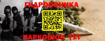 прущие крисы Кингисепп
