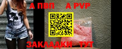 прущие крисы Кингисепп