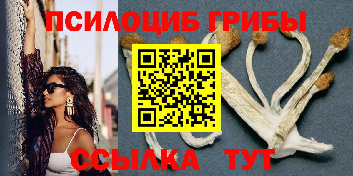 купить   Вход с VPN  Крымск  Галлюциногенные грибы Psilocybe  Галлюциногенные грибы GOLDEN TEACHER 